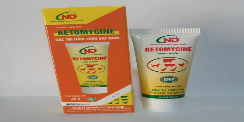 Ngâm nước muối loãng và bôi thuốc Ketomycine để trị dứt điểm bệnh nấm ở gà - Gà bị nấm chân