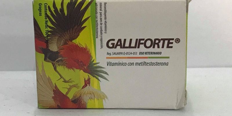 Thuốc gà đá Thái Lan Galliforte