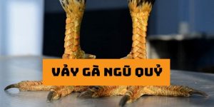 Khả năng thi đấu của gà ngũ quỷ