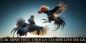 Một số hình thức live đá gà tại BJ88